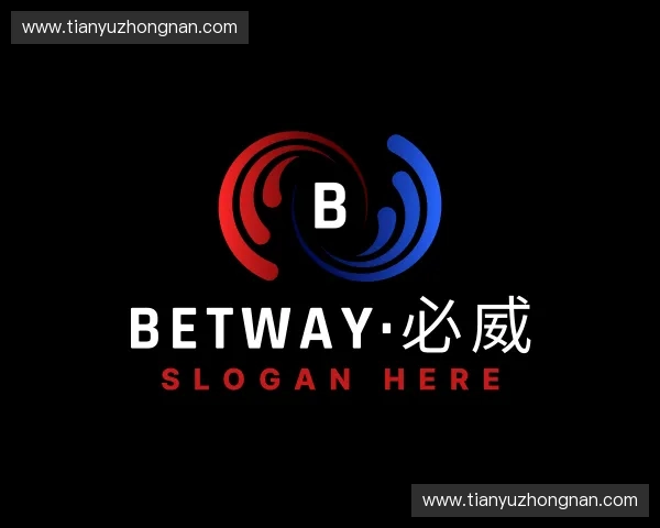 关于BETWA西汉姆联官方官网